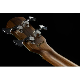 Спектор Евро 4 РСТ ООО Бирюзовый Spector Euro 4 RST LTD Turquoise