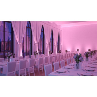 Ape Labs ApeLight maxi V2 (B) Single G Ape Labs ApeLight maxi V2 (B) Single G