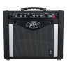 Пе́йви Рэйдж 258 Peavey Rage 258