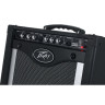 Пе́йви Рэйдж 258 Peavey Rage 258