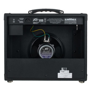 Пе́йви Рэйдж 258 Peavey Rage 258
