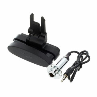 Тейлор ЭС Го Пикап GS Mini Taylor ES Go Pickup GS Mini