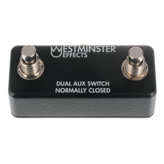 Вэстминстер Эффекты Двойной Ассвитч Номер. Закрыт Westminster Effects Dual Aux Switch Norm. Closed