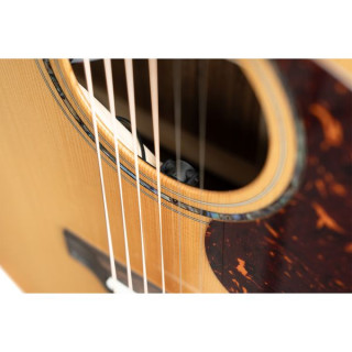 Корт GOLD MC6 NT Cort GOLD MC6 NT