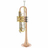 Труба Thomann TR-600 GM C-Trumpet Thomann TR-600 GM C-Trumpet