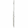 Жемчужные флейты PF-505 E Квантцовая флейта Pearl Flutes PF-505 E Quantz Flute