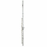 Жемчужные флейты PF-505 E Квантцовая флейта Pearl Flutes PF-505 E Quantz Flute