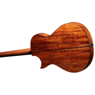 Тейлор C22ce B6041 Custom #41 Taylor C22ce B6041 Custom #41