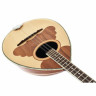 Бузука Matsikas BZ6-101 Bouzouki 6-String Matsikas BZ6-101 Bouzouki 6-String