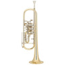 Труба Miraphone 9R 0700 A100 Miraphone 9R 0700 A100 Trumpet