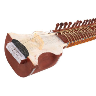 Томанн Натарадж Дилруба Thomann Nataraj Dilruba