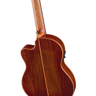 О Ortega Exoticsuitece Ortega Exoticsuitece