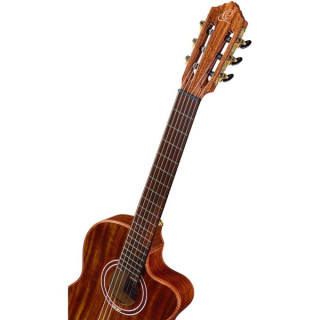 О Ortega Exoticsuitece Ortega Exoticsuitece