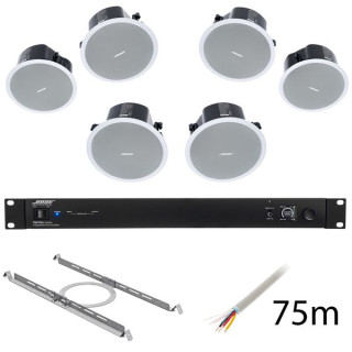 Bose Professional Veritas 2160BH Набор №651229 Bose Professional Veritas 2160BH Bundle №651229