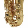 Альт-саксофон Yanagisawa A-WO10 Elite Alto Sax Yanagisawa A-WO10 Elite Alto Sax