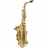 Альт-саксофон Yanagisawa A-WO10 Elite Alto Sax Yanagisawa A-WO10 Elite Alto Sax