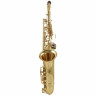 Альт-саксофон Yanagisawa A-WO10 Elite Alto Sax Yanagisawa A-WO10 Elite Alto Sax