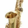 Альт-саксофон Yanagisawa A-WO10 Elite Alto Sax Yanagisawa A-WO10 Elite Alto Sax