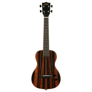 Теноровая гавайская гитара Kala KA-SB-EBY-T Kala KA-SB-EBY-T Tenor Ukulele