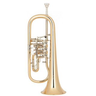 Мирафон 25 1100 A100 Флюгельгорн Miraphone 25 1100 A100 Flugelhorn