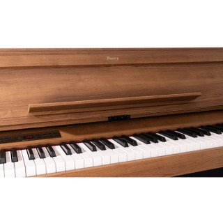 Korg Poetry Magnifique Korg Poetry Magnifique