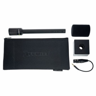 Интервьюер Льюитта Lewitt Interviewer