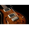 Полуакустическая гитара PRS SE Custom 22 Semi-Hollow BG PRS SE Custom 22 Semi-Hollow BG