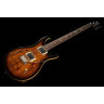 Полуакустическая гитара PRS SE Custom 22 Semi-Hollow BG PRS SE Custom 22 Semi-Hollow BG