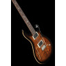 Полуакустическая гитара PRS SE Custom 22 Semi-Hollow BG PRS SE Custom 22 Semi-Hollow BG