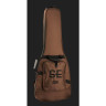Полуакустическая гитара PRS SE Custom 22 Semi-Hollow BG PRS SE Custom 22 Semi-Hollow BG