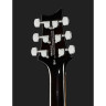 Полуакустическая гитара PRS SE Custom 22 Semi-Hollow BG PRS SE Custom 22 Semi-Hollow BG