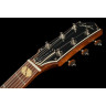Электрогитара Godin Summit Classic HT Havana Brown Godin Summit Classic HT Havana Brown