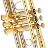 Труба Bach ML19037 Bb- Trumpet lacquered Bach ML19037 Bb- Trumpet lacquered