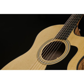 Глянец Taylor 114ce Special Edition Gloss Taylor 114ce Special Edition Gloss