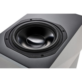 Репродуктор Audio Labs Epic 55 reProducer Audio Labs Epic 55