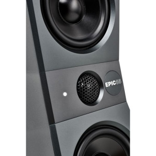 Репродуктор Audio Labs Epic 55 reProducer Audio Labs Epic 55