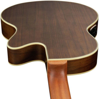 Акустическая бас-гитара Warwick Alien Deluxe Hybrid 5 LH NT