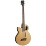 Акустическая бас-гитара Warwick Alien Deluxe Hybrid 5 LH NT