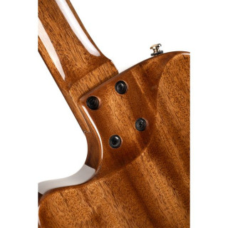 Cort Sunset Nylectric DLX Cort Sunset Nylectric DLX