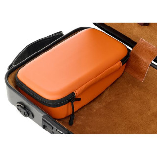 Рот и Юниус кейс для скрипки из поликарбоната SAP-GY Roth & Junius PolyCarb Violin Case SAP-GY