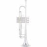 Труба Yamaha YTR-8335RS 04 Yamaha YTR-8335RS 04 Trumpet
