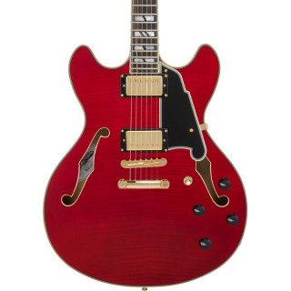 Дженгелико Excel DC Trans Черешня 2025 DAngelico Excel DC Trans Cherry 2025