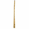Эвкалипт Томанна Диджериду. Пролин C Thomann Didgeridoo Eucalyp. Proline C