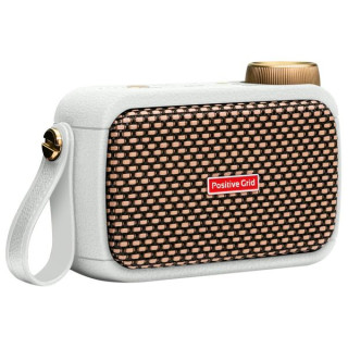 Искровая КАБИНА с положительной решеткой Набор №580567 Positive Grid Spark CAB Bundle №580567