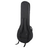 Банджо Harley Benton BJ-55Pro 5 String Banjo Bundle №540119 (комплект)