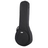 Банджо Harley Benton BJ-55Pro 5 String Banjo Bundle №540119 (комплект)
