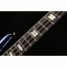 Spector Euro LT 4 BLFG Spector Euro LT 4 BLFG