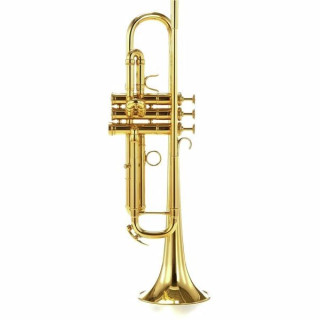 Латунь Adams A5 045 Selected GL Adams A5 Brass 045 Selected GL