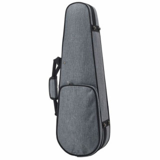 Рот и Джуниус Грейлайн виолончель. Фасонный корпус 1/8 Roth & Junius GreyLine Viol. Shaped Case 1/8