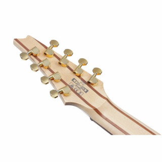 Электрогитара Ibanez RG80F-IPT Ibanez RG80F-IPT